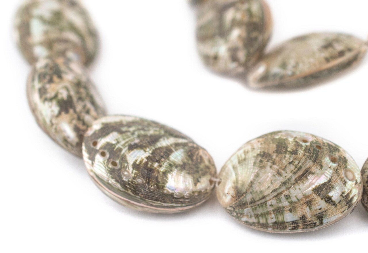 The Bead Chest Sea Forest Decorative Shell Beads 27mm Green Unusual Large Hole 16 Inch Strand